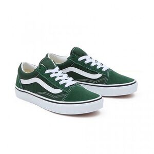 Old Skool vans (youth)